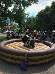 Mechanical Bull